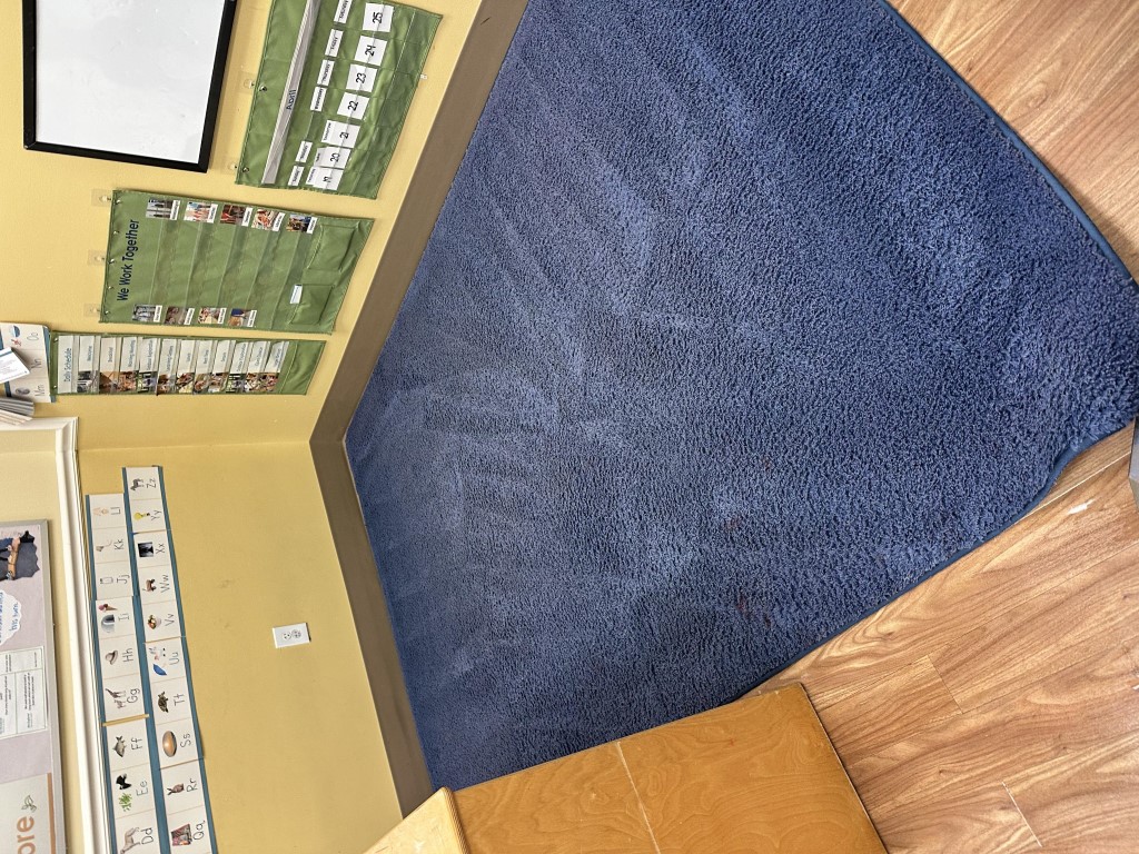 Hot-water carpet extraction in progress